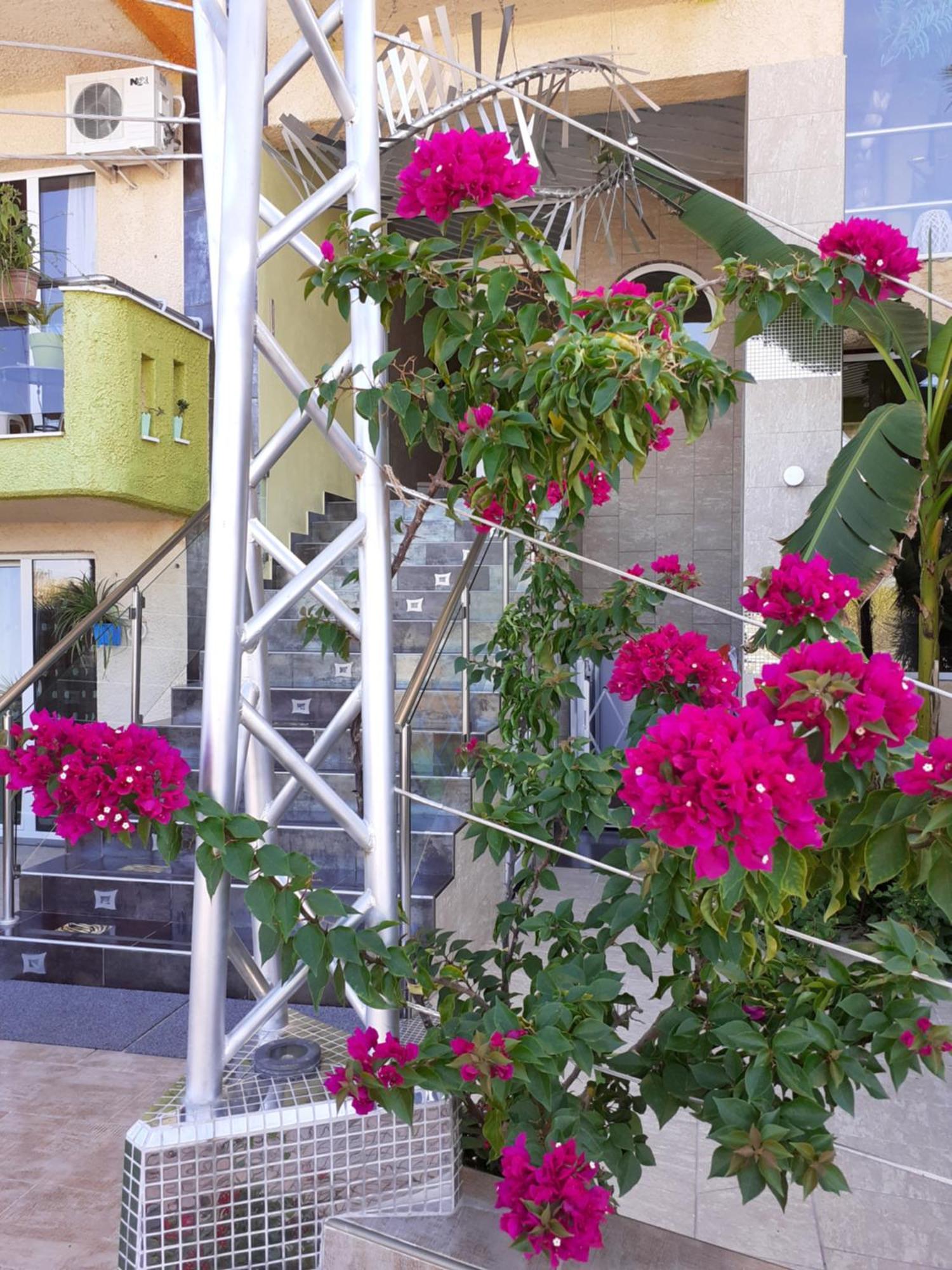 Lilalo Ηotel Паралия-Катерини Экстерьер фото
